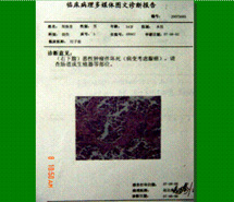 Stake官方·(中国区)网站入口