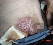 Stake官方·(中国区)网站入口