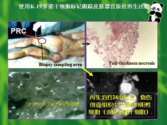 Stake官方·(中国区)网站入口