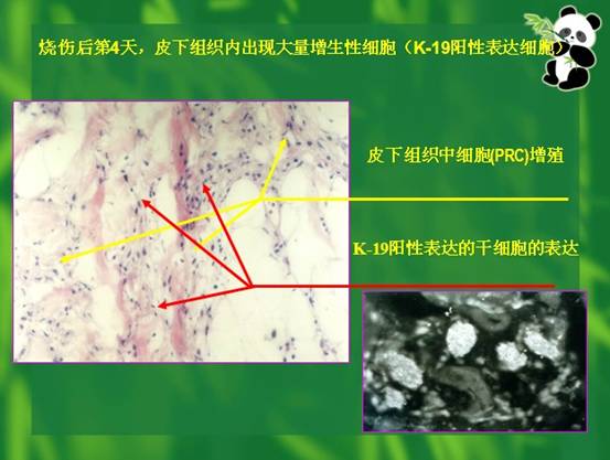 Stake官方·(中国区)网站入口
