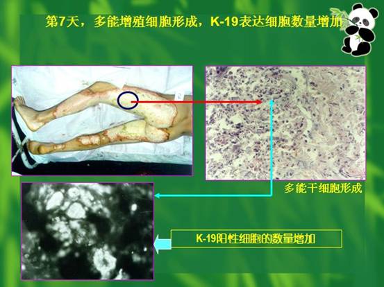 Stake官方·(中国区)网站入口