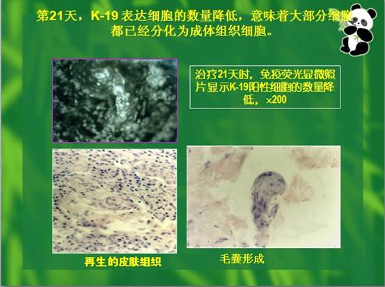 Stake官方·(中国区)网站入口
