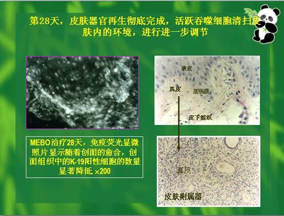 Stake官方·(中国区)网站入口