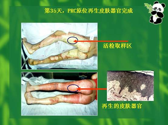 Stake官方·(中国区)网站入口