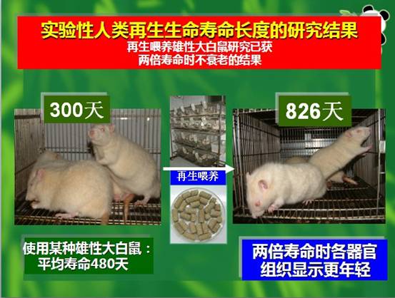 Stake官方·(中国区)网站入口