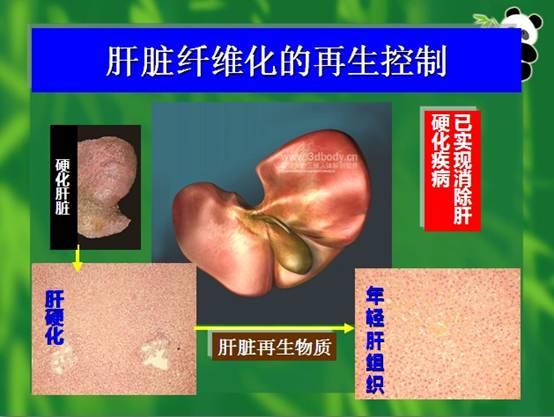 Stake官方·(中国区)网站入口
