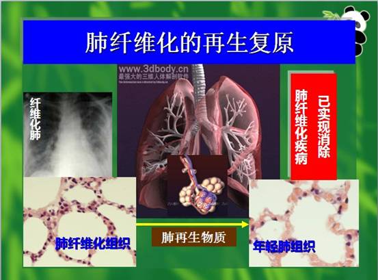 Stake官方·(中国区)网站入口