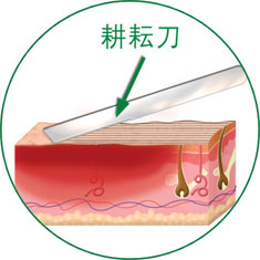 Stake官方·(中国区)网站入口