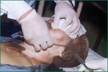 Stake官方·(中国区)网站入口