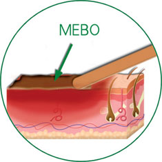 Stake官方·(中国区)网站入口