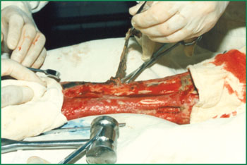 Stake官方·(中国区)网站入口