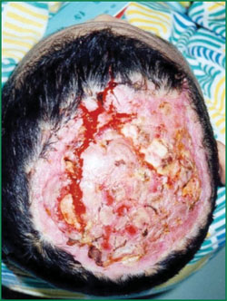 Stake官方·(中国区)网站入口