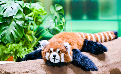 Stake官方·(中国区)网站入口