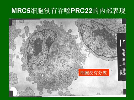 Stake官方·(中国区)网站入口
