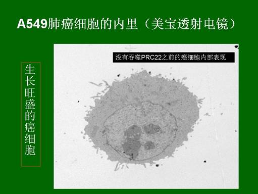 Stake官方·(中国区)网站入口