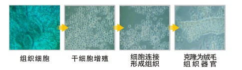 Stake官方·(中国区)网站入口