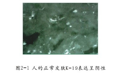 Stake官方·(中国区)网站入口