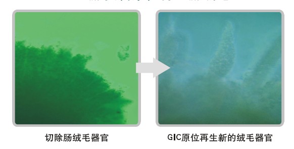 Stake官方·(中国区)网站入口