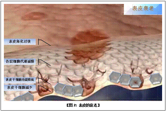 Stake官方·(中国区)网站入口