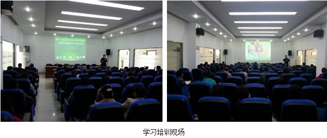 Stake官方·(中国区)网站入口