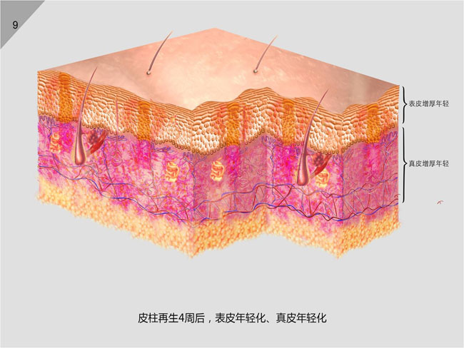 Stake官方·(中国区)网站入口