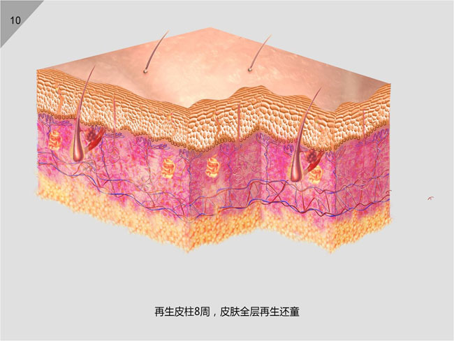 Stake官方·(中国区)网站入口